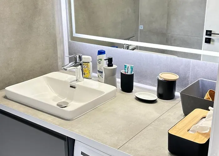 1 Dans Neuf, Terrasse Sud, Meuble Contemporain, Parking